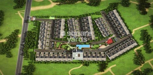 Chartered Grasshopper