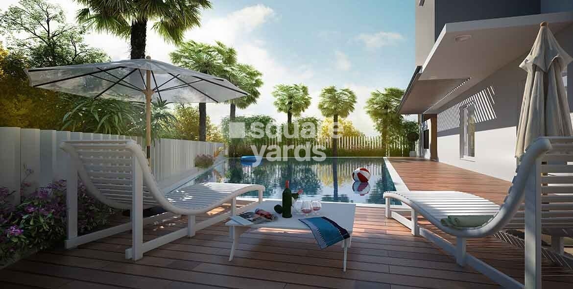 Chartered Humming Bird