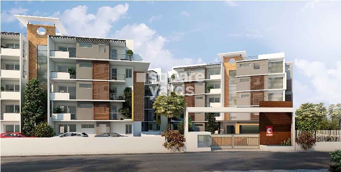 Chartered Humming Bird