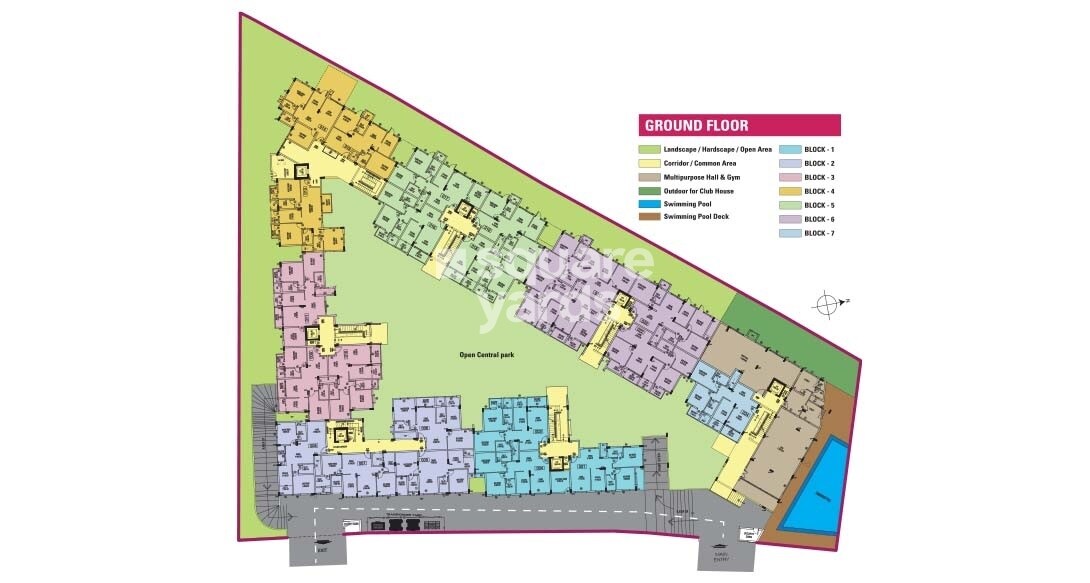 Chartered Humming Bird