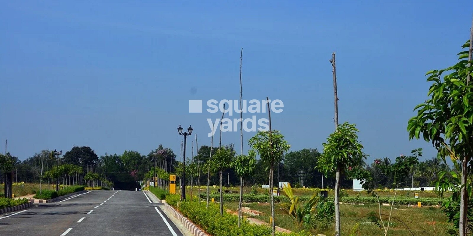 Chartered Woodpecker, Devanahalli, Bangalore
