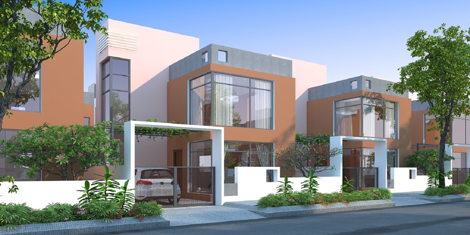Citrus Belmont Featured Image