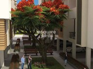 CMRS Moonstone Amenities-Features