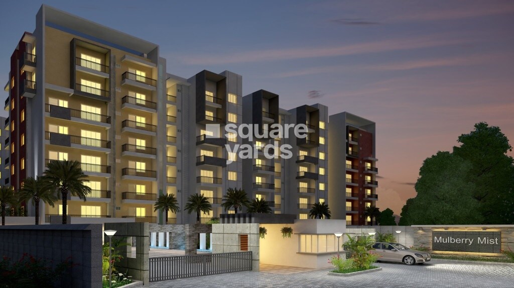 CMRS Mulberry Mist Tower View