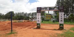 CNR Infocity