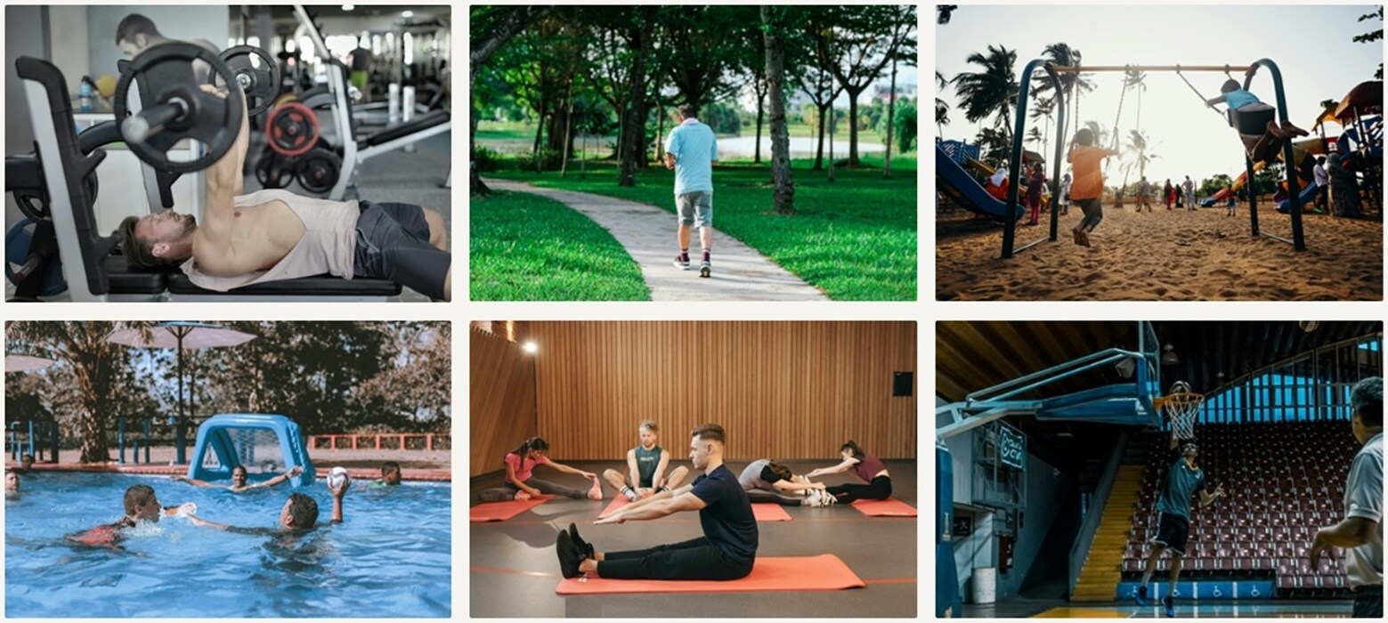 Coevolve Misty Shores