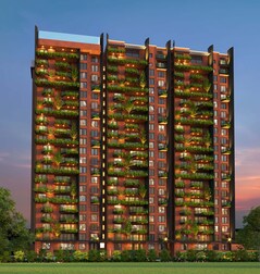 Coevolve Misty Shores Coevolve Misty Shores