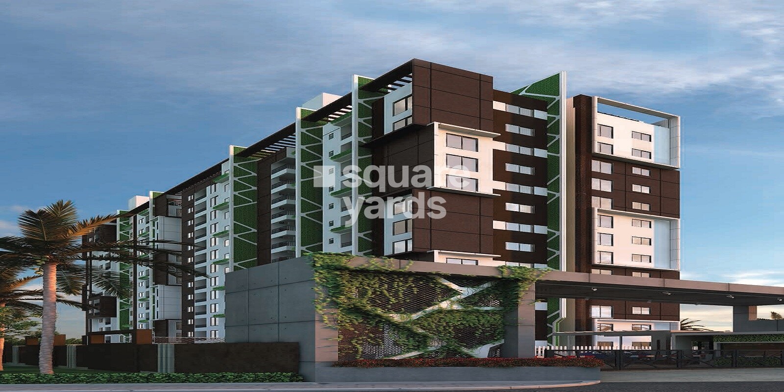 coevolve-northern-star