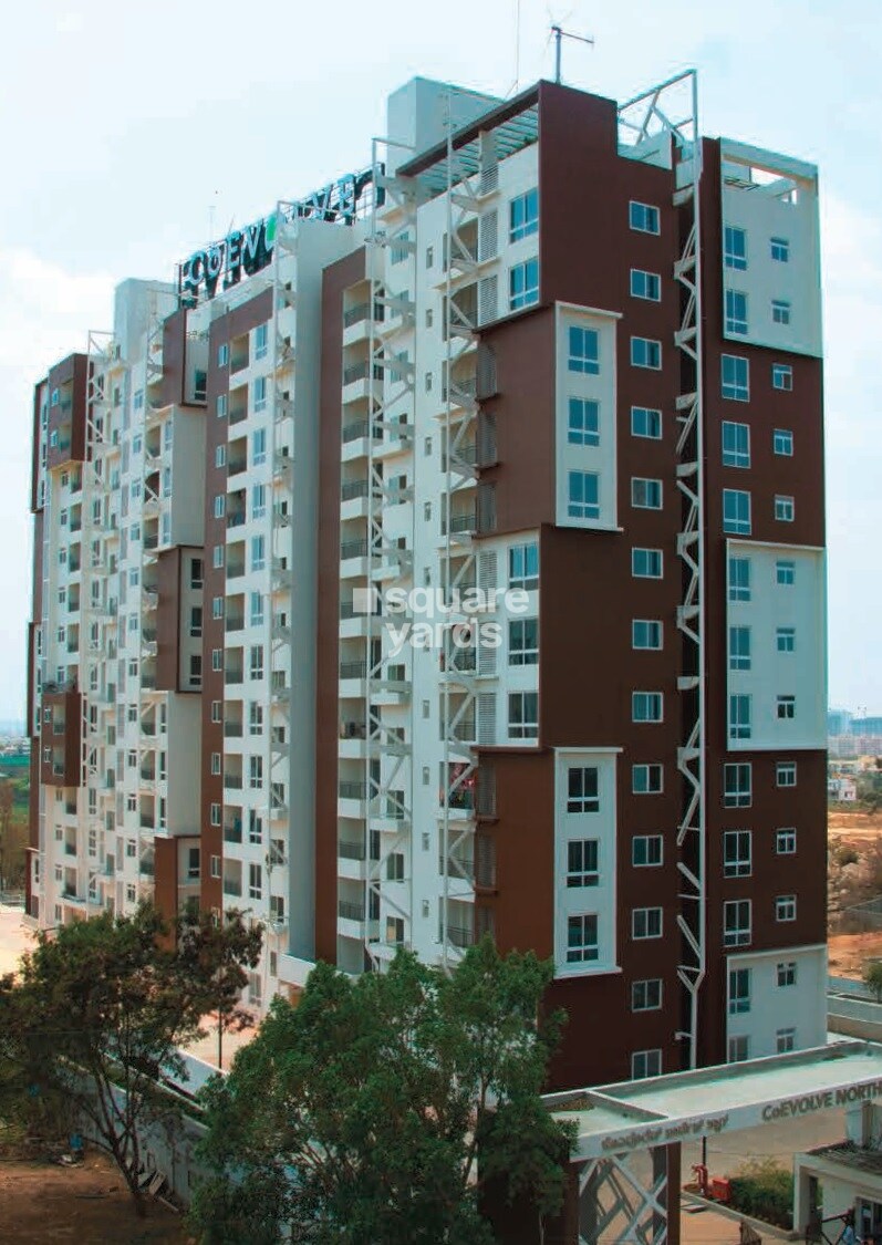 Coevolve Northern Star Tower View 1