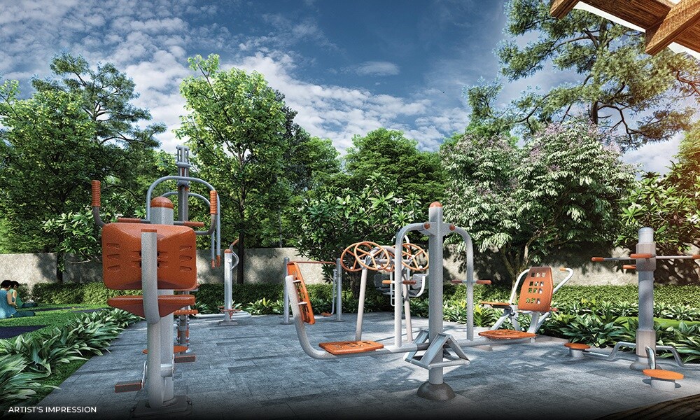 Concorde Equity Gymnasium Image