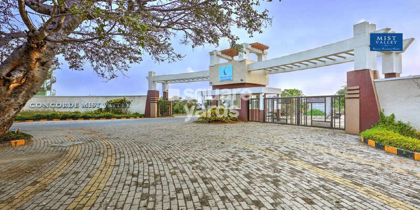 Concorde Mist Valley