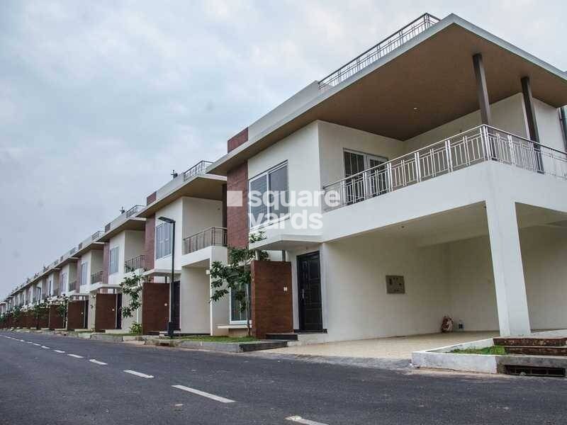 Concorde Napa Valley 2