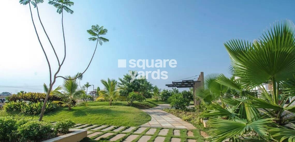 Concorde Napa Valley 5