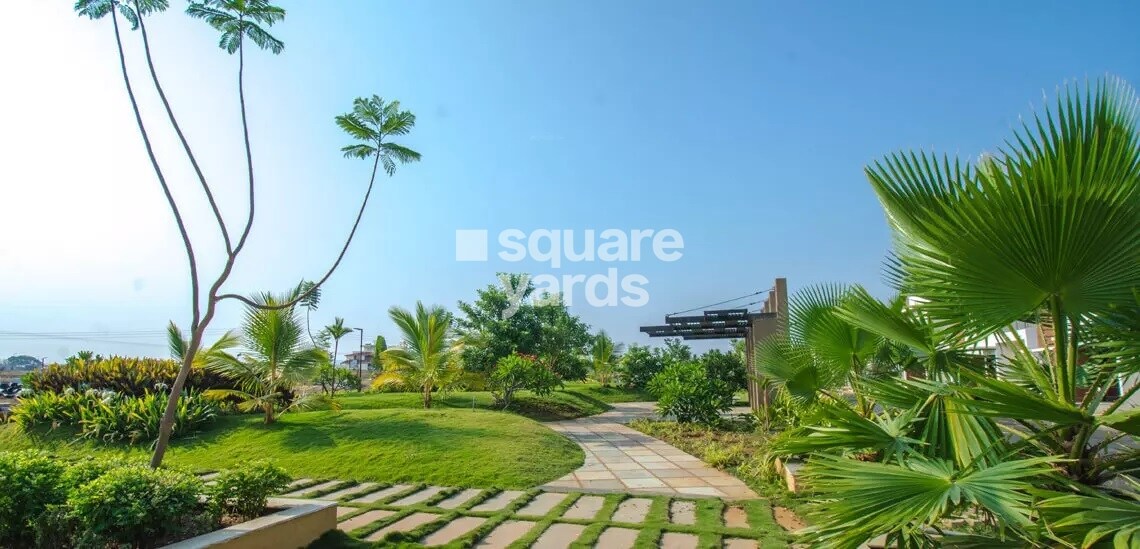 Concorde Napa Valley