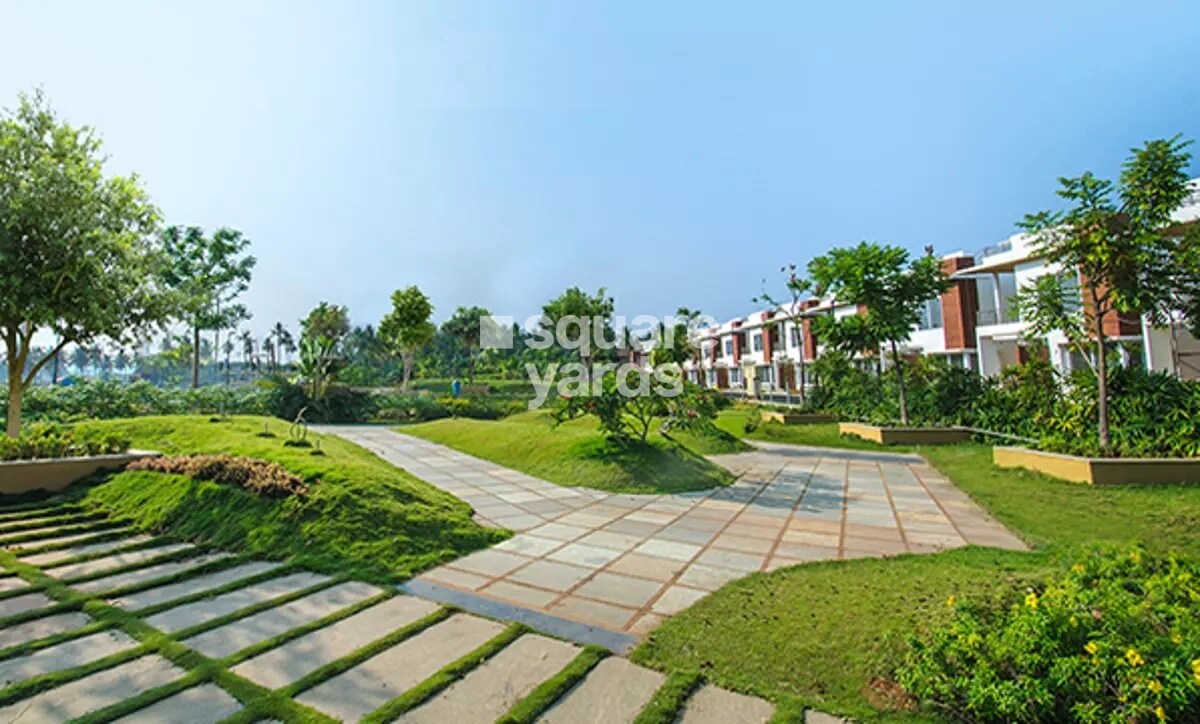 Concorde Napa Valley