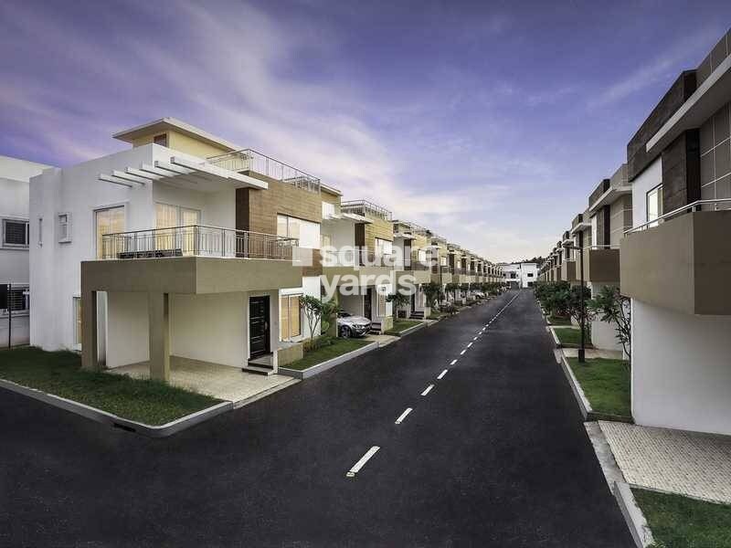 Concorde Napa Valley