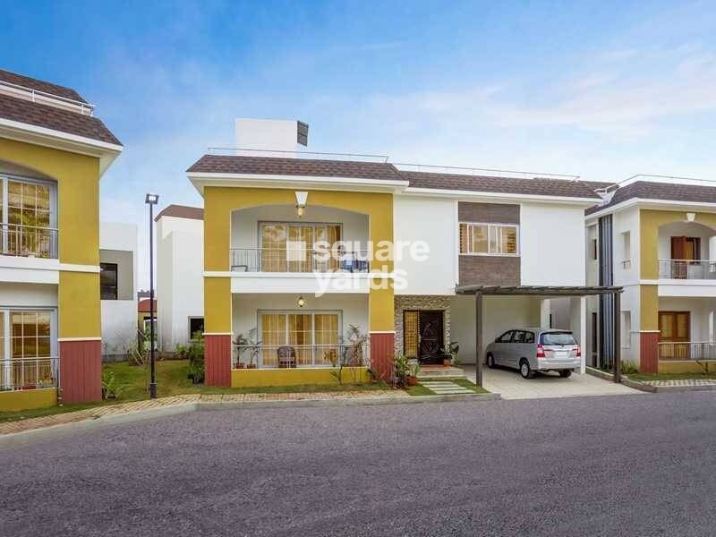 Concorde Napa Valley