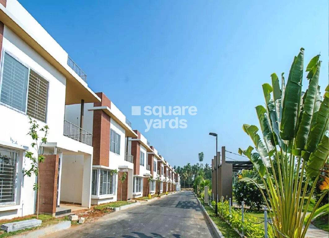 Concorde Napa Valley Tower View 3