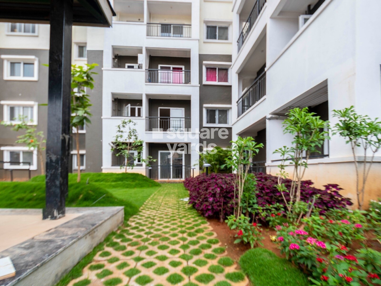 Concorde Spring Meadows