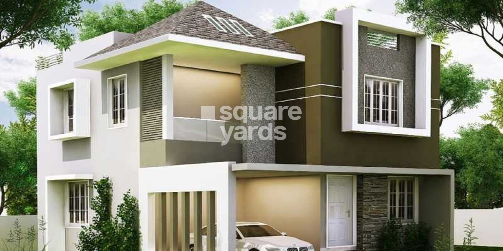 Confident Amber Featured Image