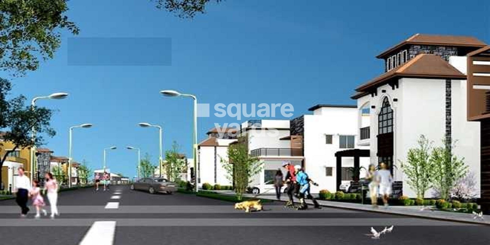 Confident Auriga Phase I