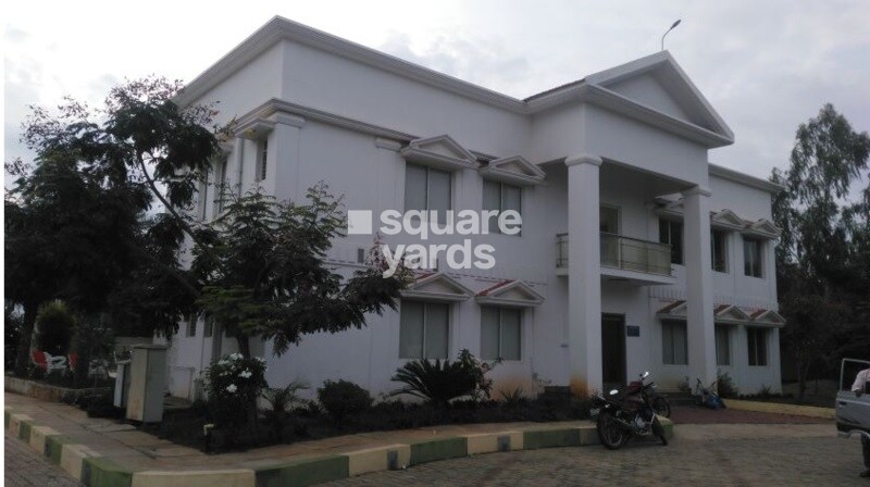 Confident Bellatrix Phase I