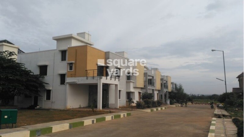 Confident Bellatrix Phase I