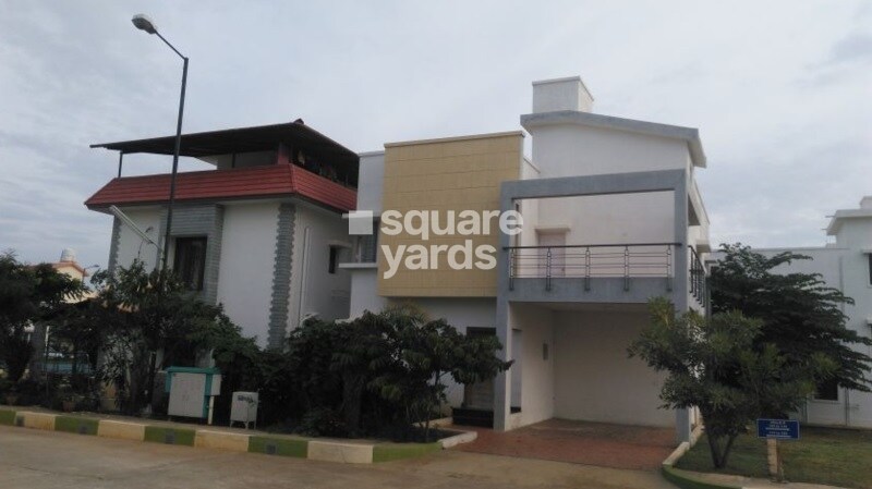 Confident Bellatrix Phase I