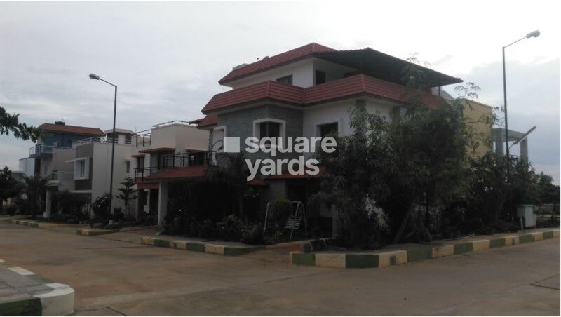 Confident Bellatrix Phase I