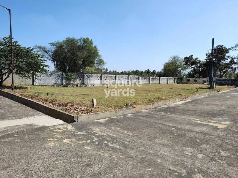 Confident Indus II Plot Images