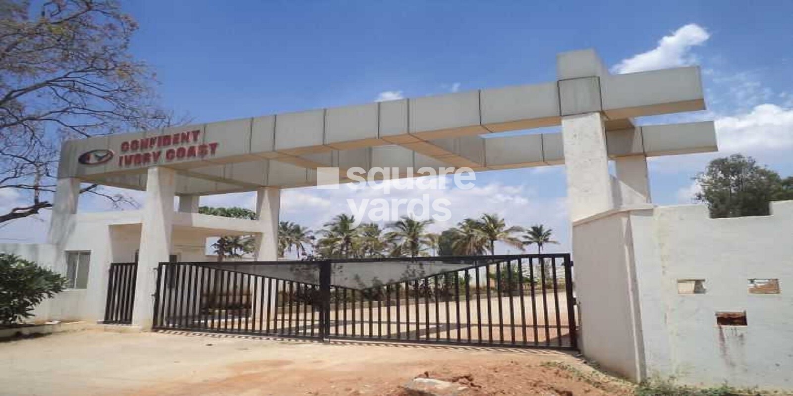 Confident Ivory Coast Featured Image