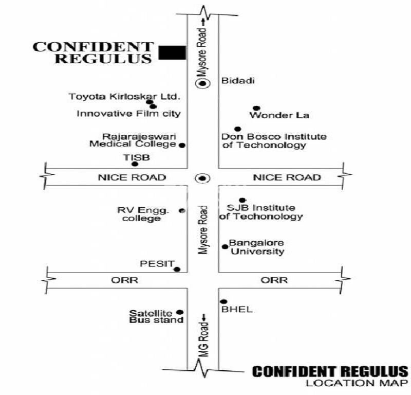 Representative image as actual visual unavailable for Confident Regulus