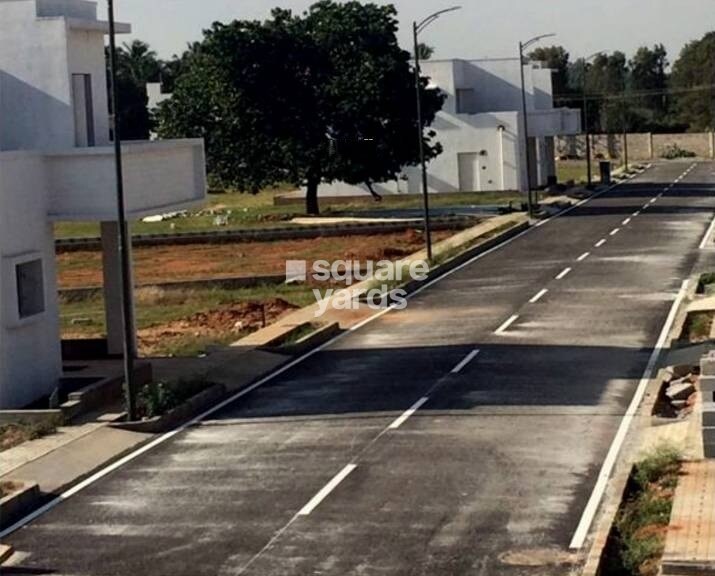 Confident Rigel Plot