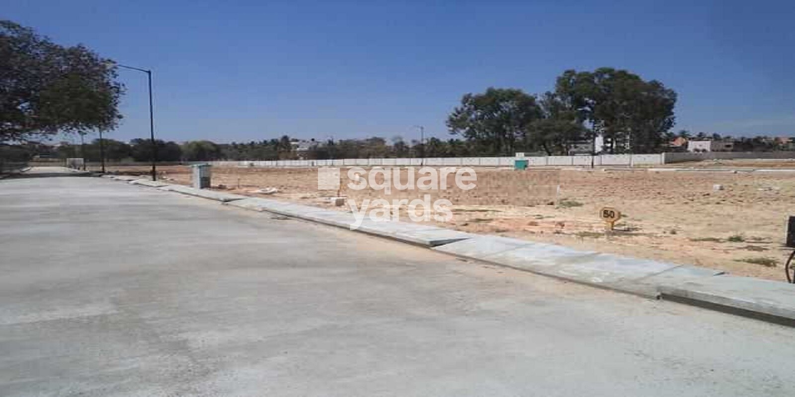 Confident Whitefield Oberon