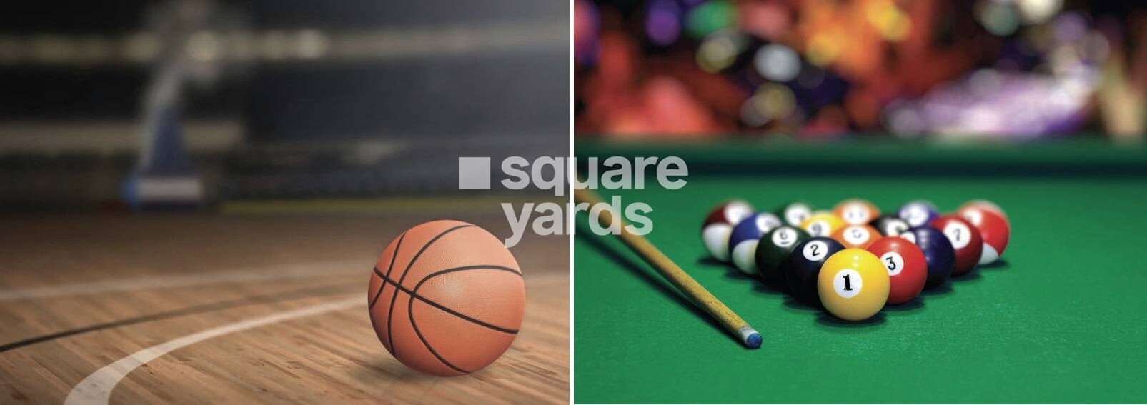 Coronet Monarch Aqua