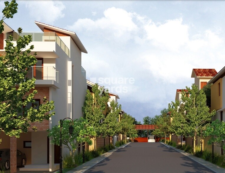 Countryside Little Earth