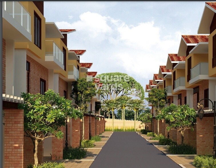 Countryside Little Earth