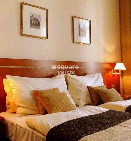 Creative Cyprus Oaks