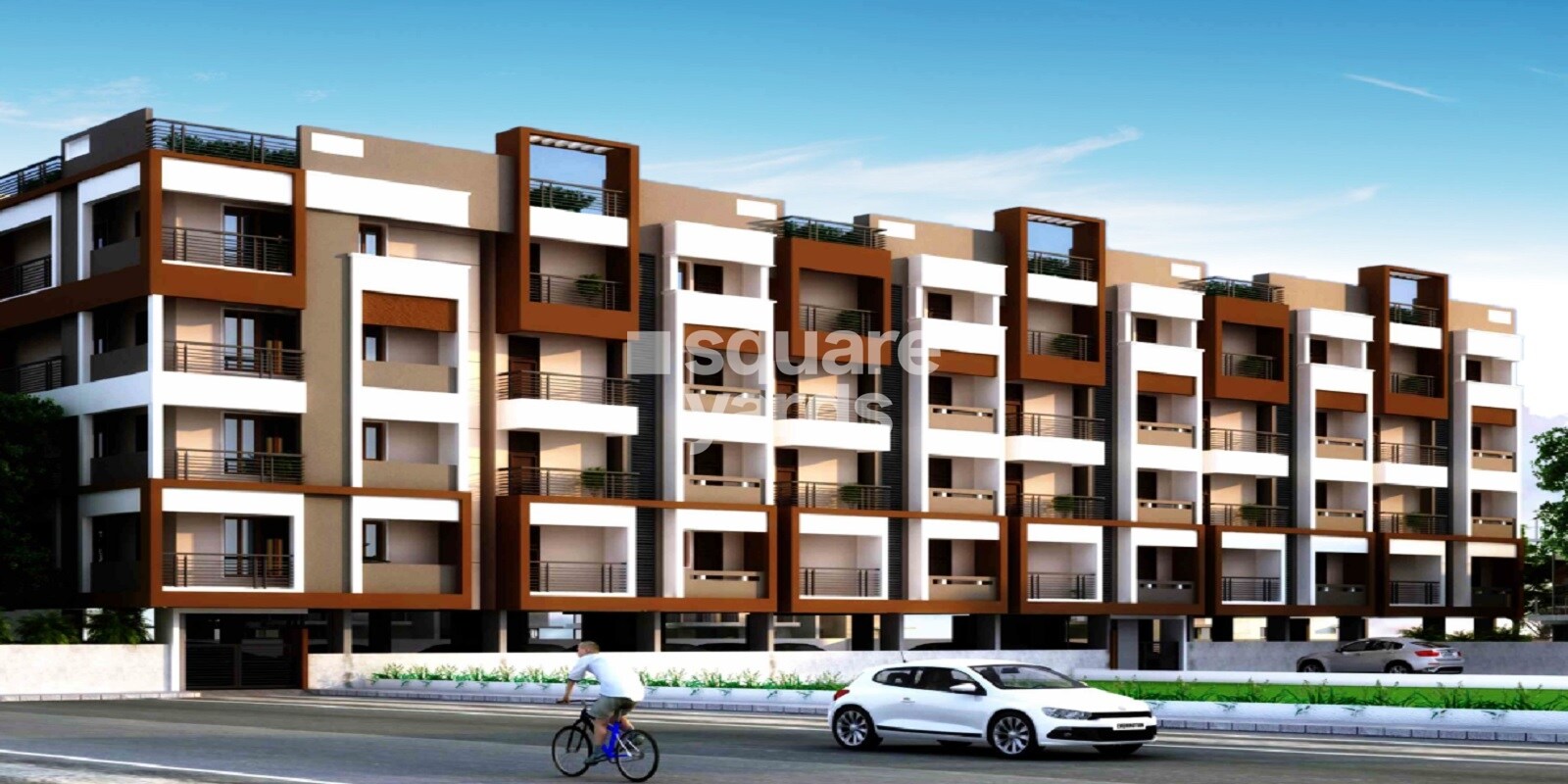 Creative Cyprus Oaks