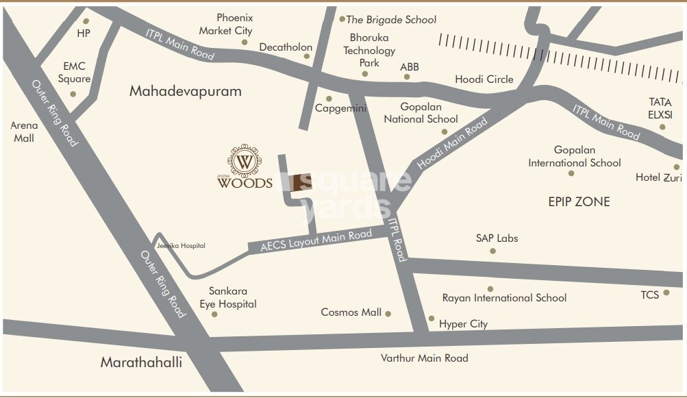 Cynosure Jyothi Woods