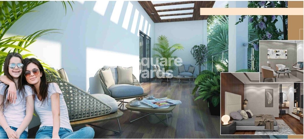 Cynosure Jyothi Woods