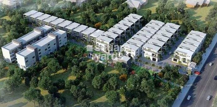 Cynosure Jyothi Woods