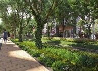 Cynosure Sunny Groves Amenities-Features