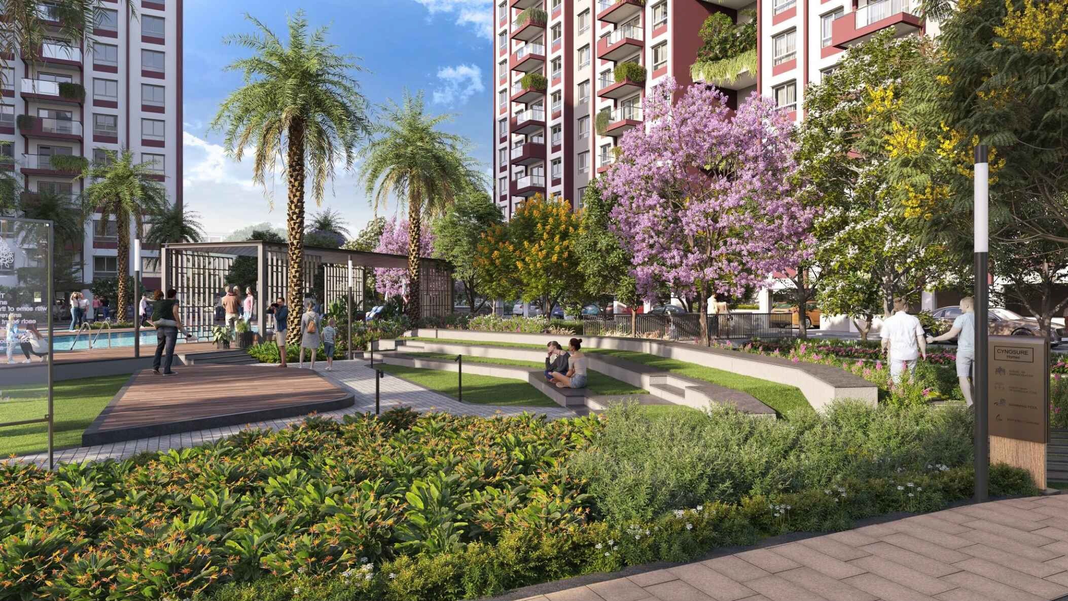 Cynosure Sunny Groves