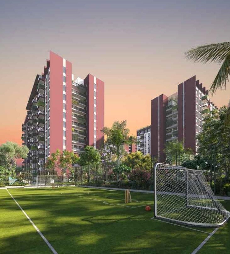 Cynosure Sunny Groves