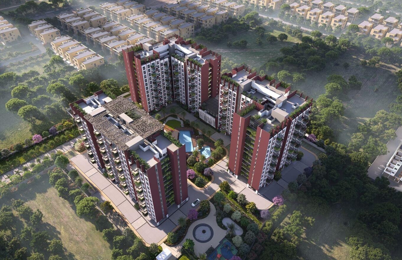 Cynosure Sunny Groves