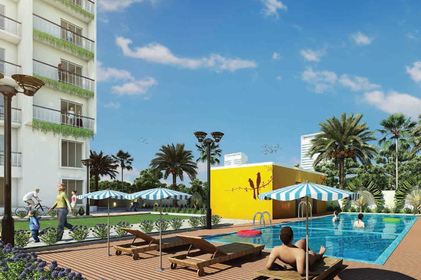 Cynosure White Spaces