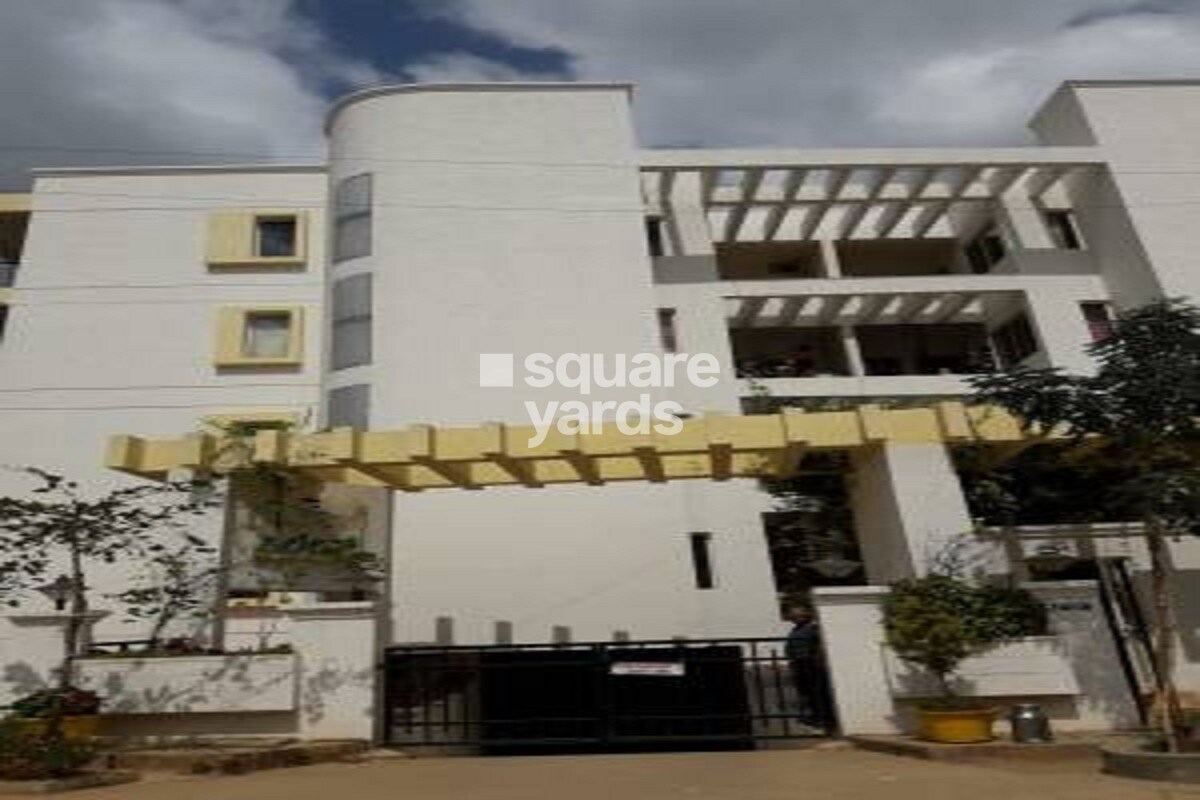 Representative image as actual visual unavailable for Daadys Olive