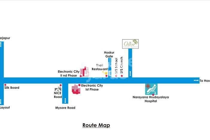 Daadys Olive Location Image