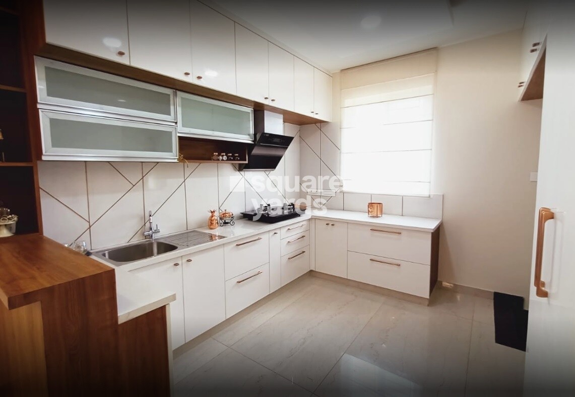 Daiwik Salvina Sapphire Doddagattiganabbe